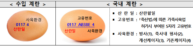 스페인서 달걀 121만개 수입…정부 “AI 수급 악화에 선제 대비”
